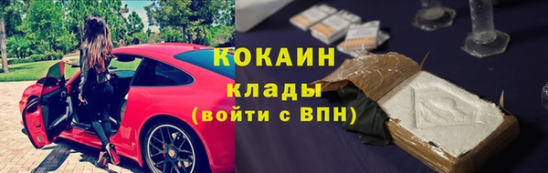 PSILOCYBIN Богданович