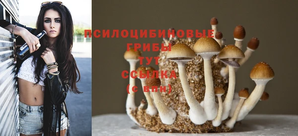 PSILOCYBIN Богданович