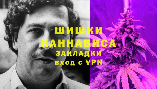 таблы Богородицк