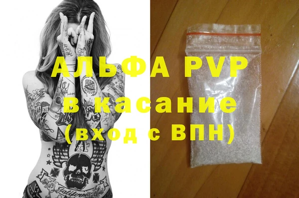 PSILOCYBIN Богданович