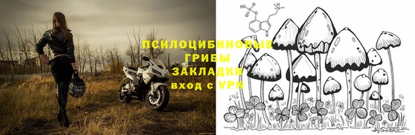 прущий лед Бронницы