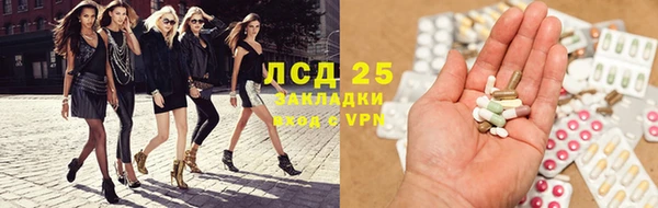 PSILOCYBIN Богданович